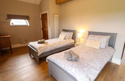 Little Owl - Foto 25