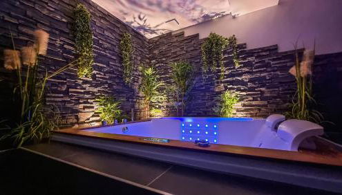 Appart' spa privatif Gray - Foto 3