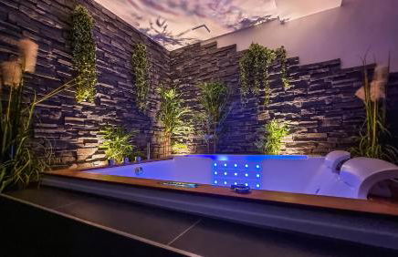 Appart' spa privatif Gray - Foto 3