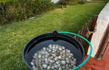 Beachfront Villa with Private Beach Access, Ocean Views, Pool, - Foto 35