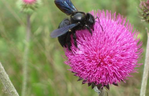 Agriturismo Campagnoletto - Foto 65