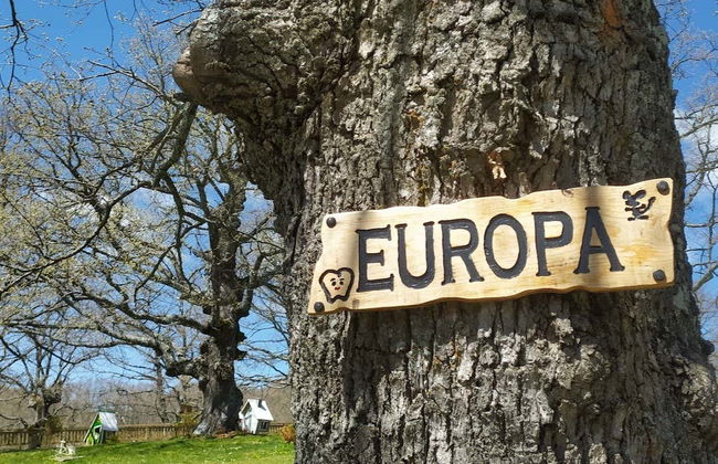 Entrada para la Ruta del Ratoncito Pérez - Foto 9