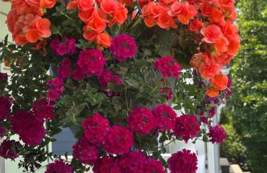 Boston Studio Apartment with Parking, next to Train or Buses, good Neighborhood - Foto 32