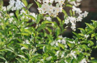 Villa San Giusto - Pool&Relax - Foto 45