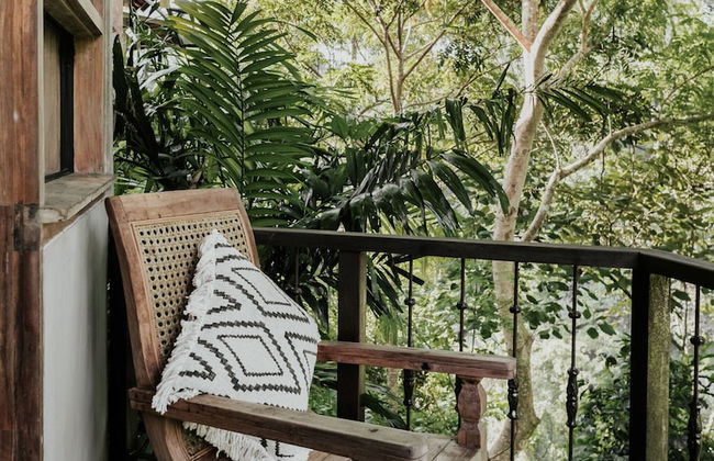 Exceptional 9BR Incredible Jungle View, River Access - Photo 53