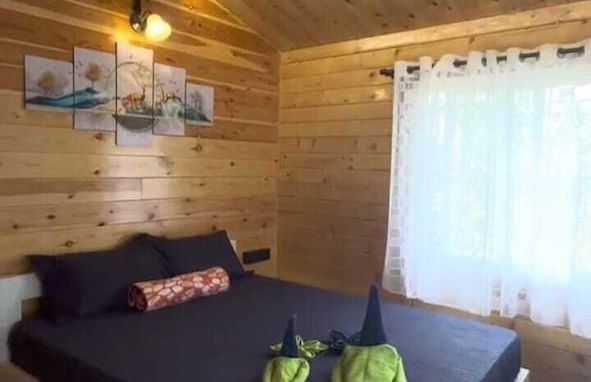 Little Swiss By the Lake - Photo 1