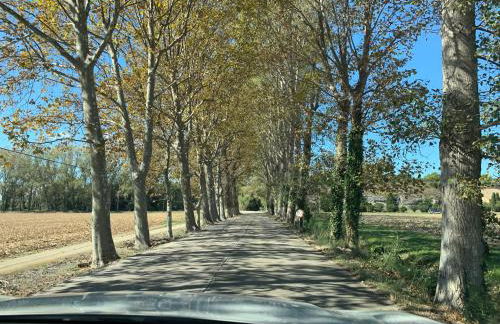 Mas Pinell 3 -Viu bé - Foto 33