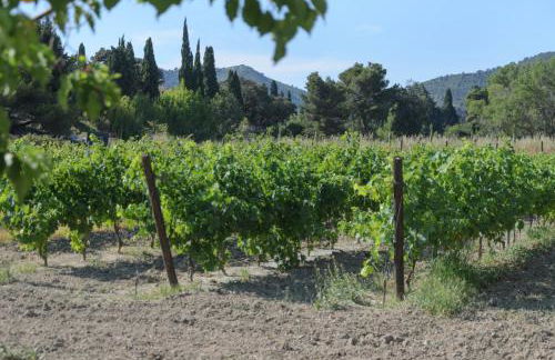 Domaine du Mas Foucray - Foto 73