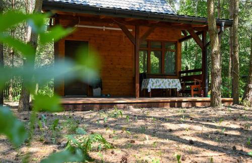 Domek letniskowy Marksewo Łoś - Foto 3