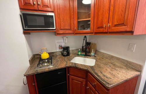 Private Studio Apartment in Union Square - Foto 10