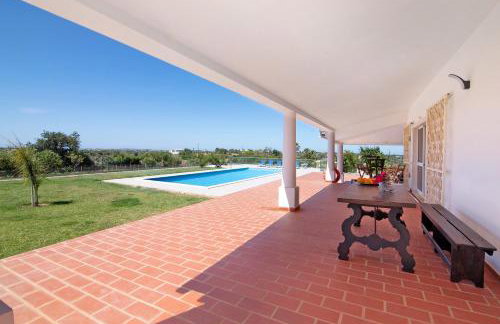 Monte do Pataco - Foto 10