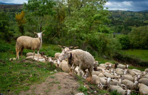 Rustic Terrace2 Bedrooms Farm House - Foto 50