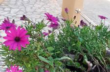 Relax - Photo 10