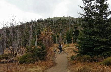 Chalet Wickie - Foto 27