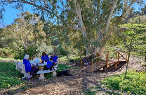 Studio Views Apartment, Cortijo Fruitful Hills - Photo 31