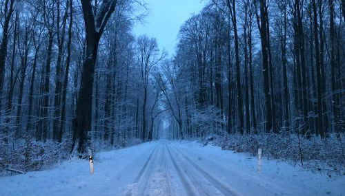 Ferienwohnungen am Fuße des Schlosses - Photo 3