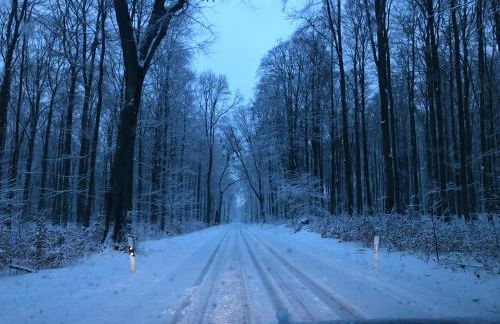 Ferienwohnungen am Fuße des Schlosses - Photo 3