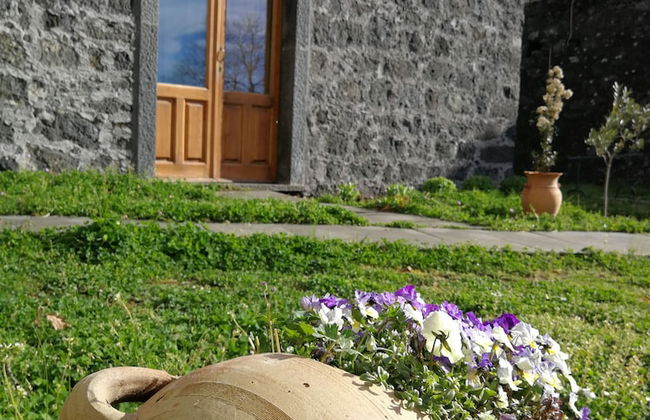 Viola nel Parco - Foto 33