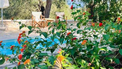 Villa Isabella in Paxi - Foto 5