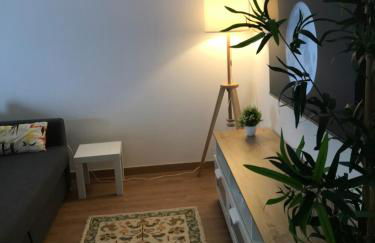 Casa de Férias MariCeu Mirandela - Foto 41