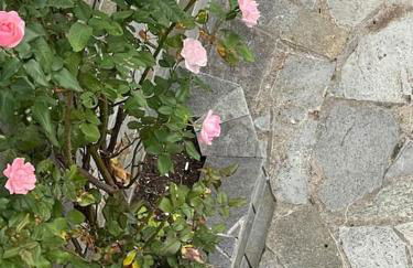 HOME OF OLYMPOS - Foto 32