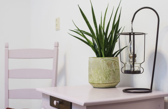 3 bedroom Apartment in Delfzijl with garden and terrace - Photo 22