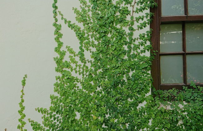 47 Berg Street - Photo 25