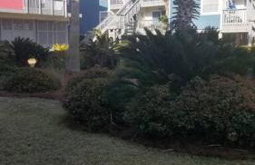 Quiet 2 bedroom condo on Gulf with pool and pond - Photo 24