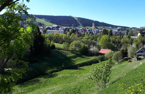 Ferienwohnung Aronia Garten - Foto 4