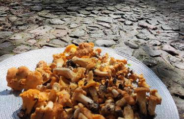 Dom letniskowy w Borach Tucholskich - Foto 15