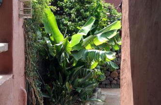 Tonono´s Village - Foto 16