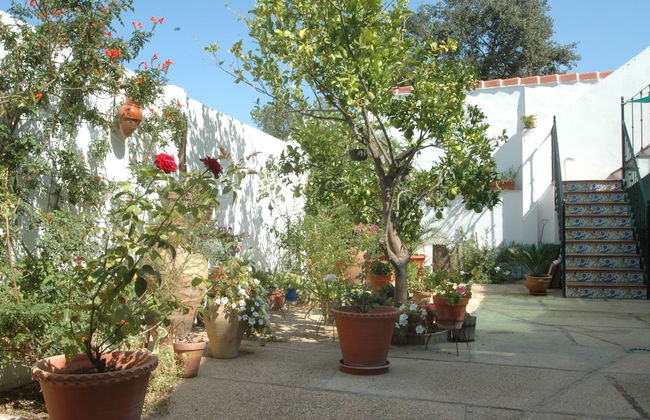 El Romerito - Foto 10