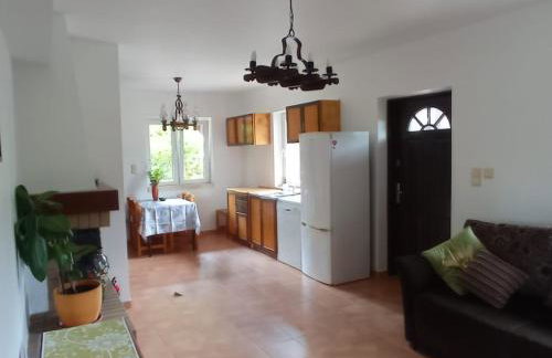 Biały Dzik Uszyszek - Foto 6