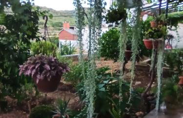 Apartmani Mislav - Photo 32