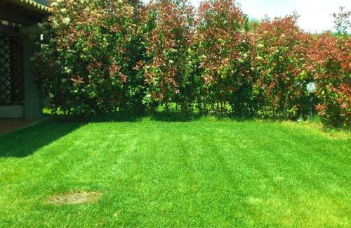 Villa Raffaello - Photo 39