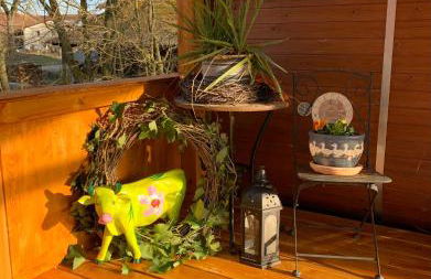 Irenes Tinyhouse - Foto 25