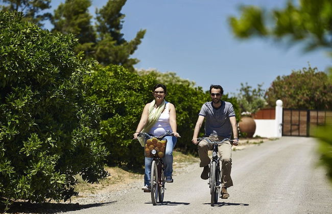 Quinta dos Perfumes - Photo 49