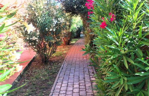 Regina Del Mare Holiday Apartments - Foto 33