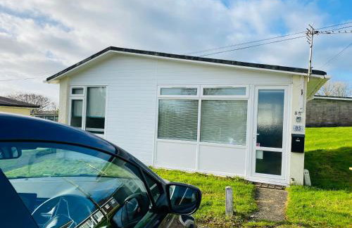 Dart Dream - Photo 42