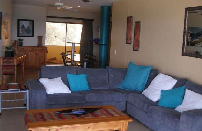 Lazy Lizard - Foto 4