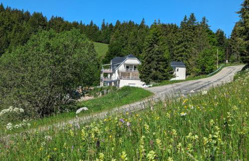 Là-haut au Lacblanc, 3 pièces, 2 chambres, balcon, cave - Foto 11