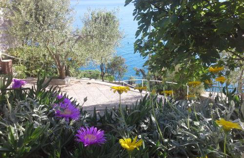 Apartments Mediteraneo - Foto 72