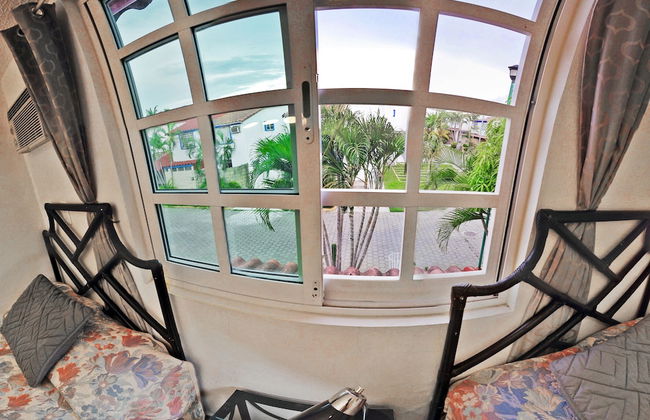 HominngBird - Foto 4