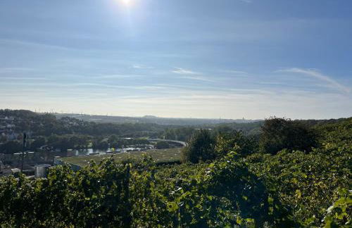 Ferienwohnung am Rotmannsweg - Foto 15