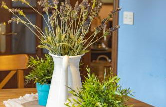 La Coqueta Del Sueve - Photo 18