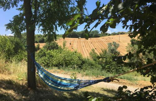 Domaine du Cammazet - Foto 32