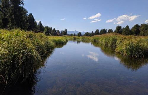 Wild Woods - Cascades Riverside Retreat - Foto 1