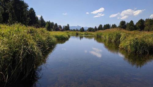 Wild Woods - Cascades Riverside Retreat - Foto 1