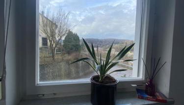 Bluestone Appartments - 26qm free and near parking - Foto 5