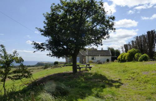 Meadow Cottage - Foto 23